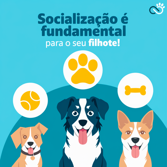 Por Que a Socialização é Essencial para o Seu Filhote