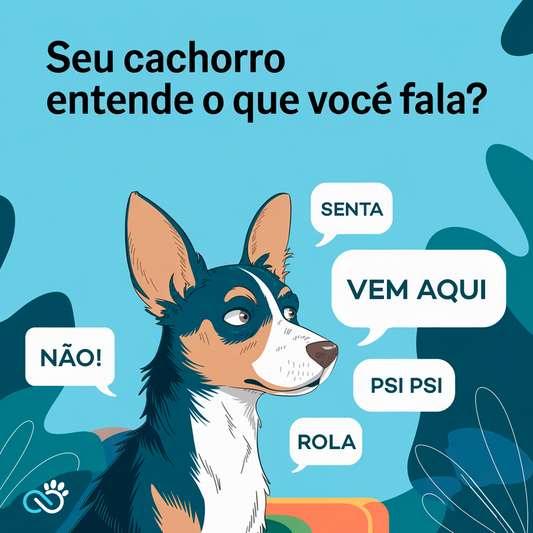 Seu Cachorro Entende o Que Você Fala?