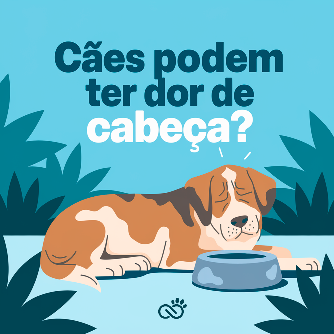 Cães Podem Ter Dor de Cabeça?