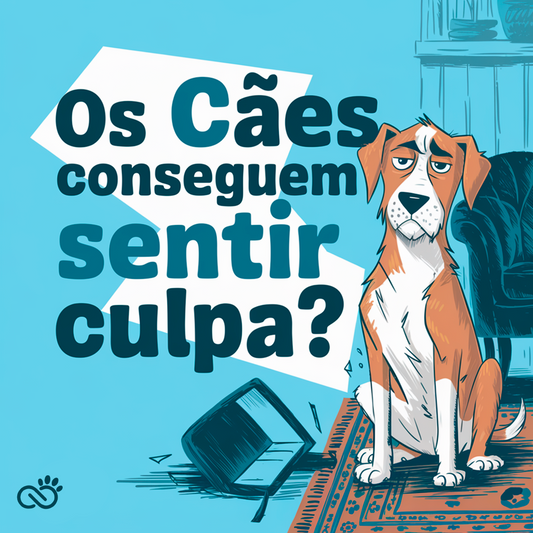 Cães Podem Sentir Culpa?