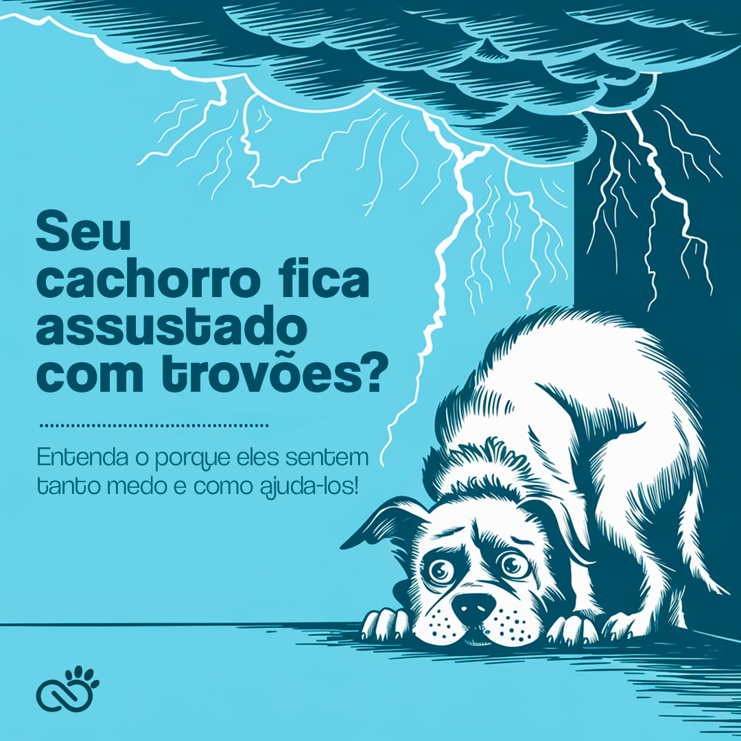 Cachorro com Medo de Trovão? Dicas para Acalmar Seu Amigo Peludo!