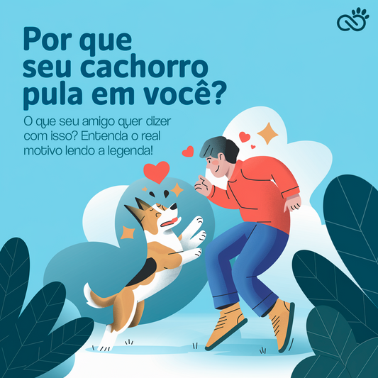 Por que Seu Cachorro Pula em Você? Entenda Esse Comportamento!