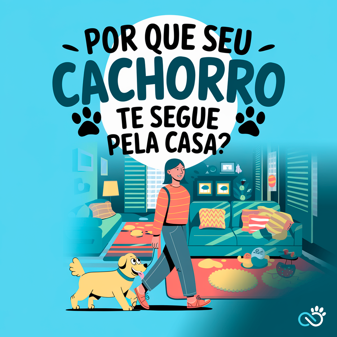 Por Que Seu Cachorro Te Segue pela Casa