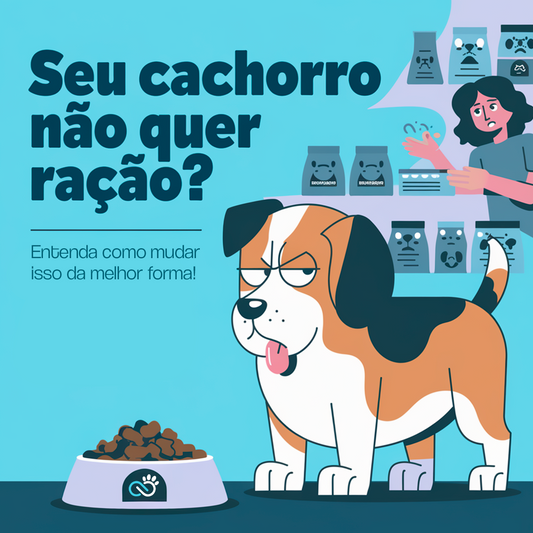 Meu Cachorro Não Quer Comer Ração: O Que Fazer?