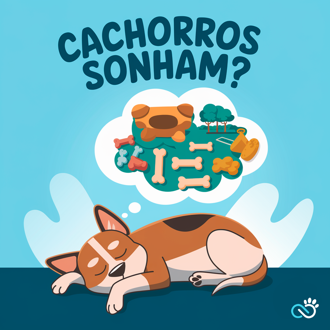 Cachorros Sonham?