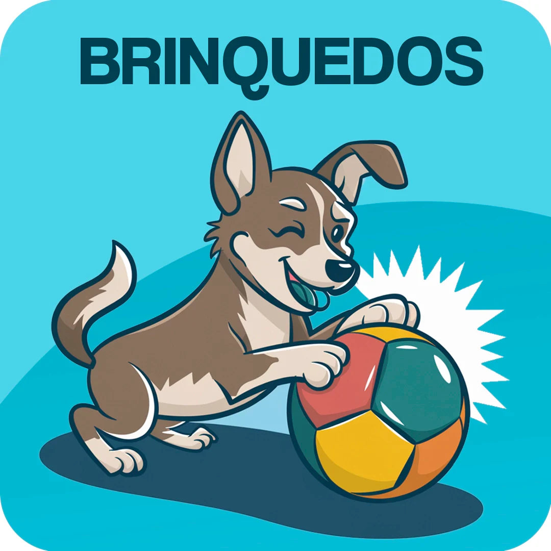 Brinquedos