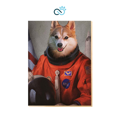 pet retrato astronauta